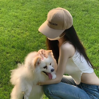 这不应发生在兽医身上海报