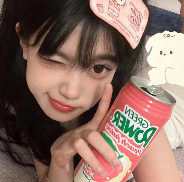 燕山日记海报